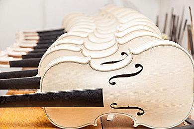 恶搞塔防动作游戏《家里蹲》2月末开启抢鲜体验